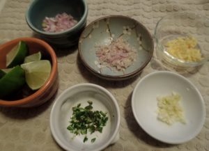 watermelon soup mise en place 7.16