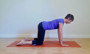 Anne Lion Drinking p1 8.14