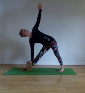 Anne triangle 2.16