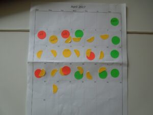 Emily's workout calendar 4.17